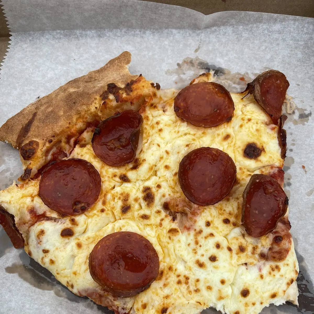 Pepperoni Pizza Logs 5