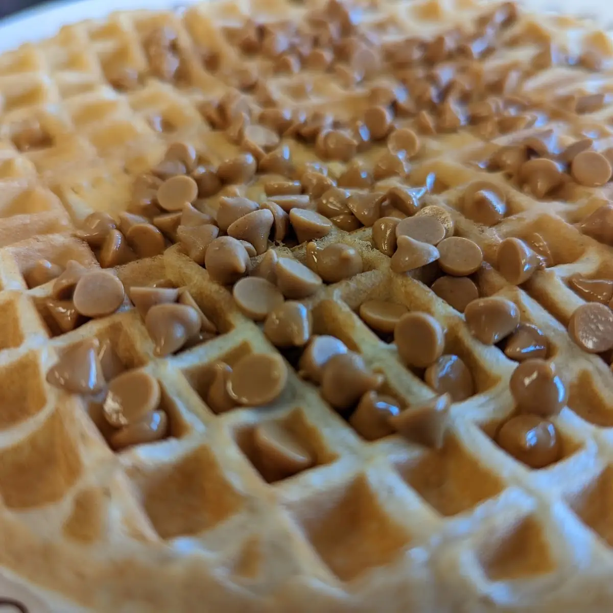 Peanut Butter Chip Waffle