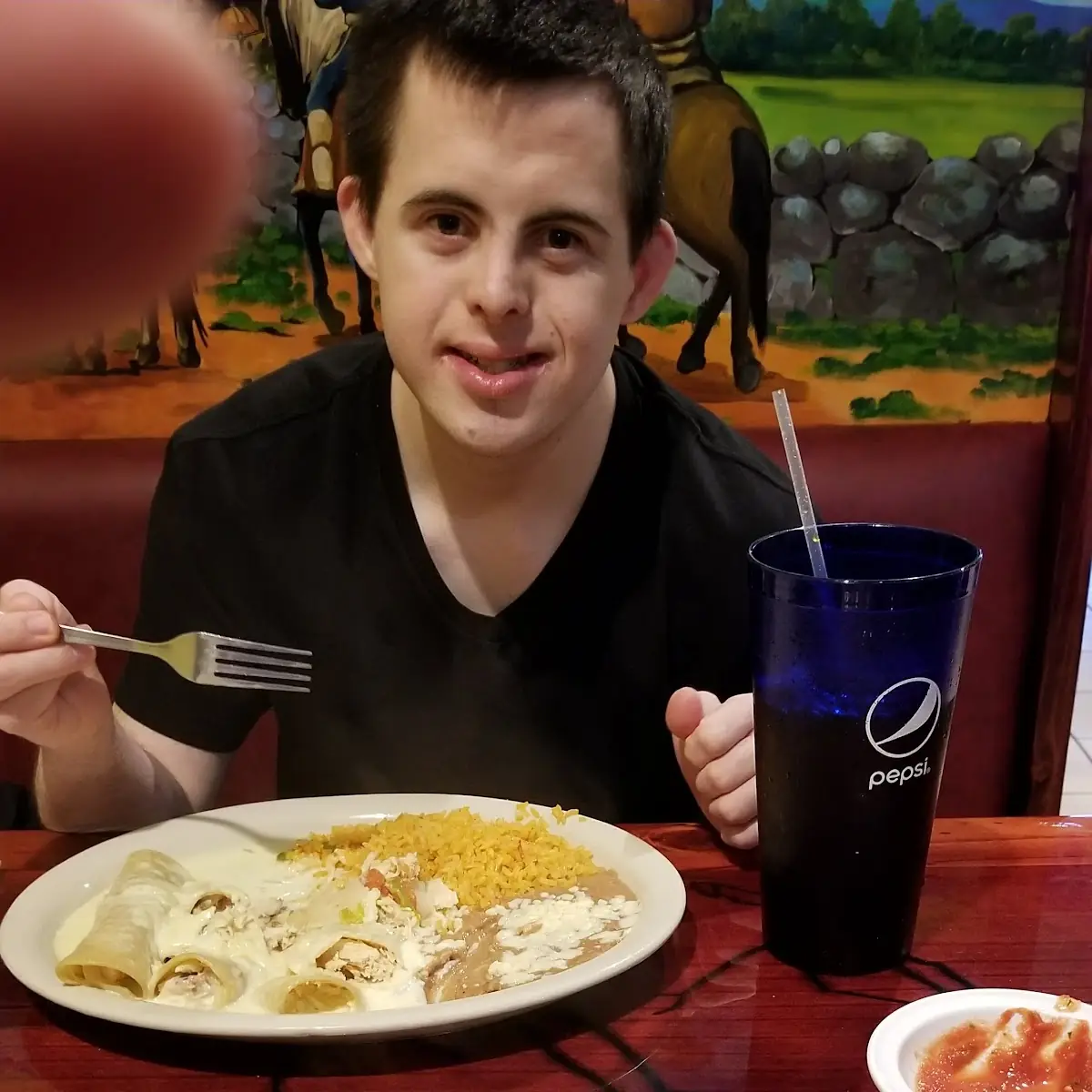 Chicken Enchiladas