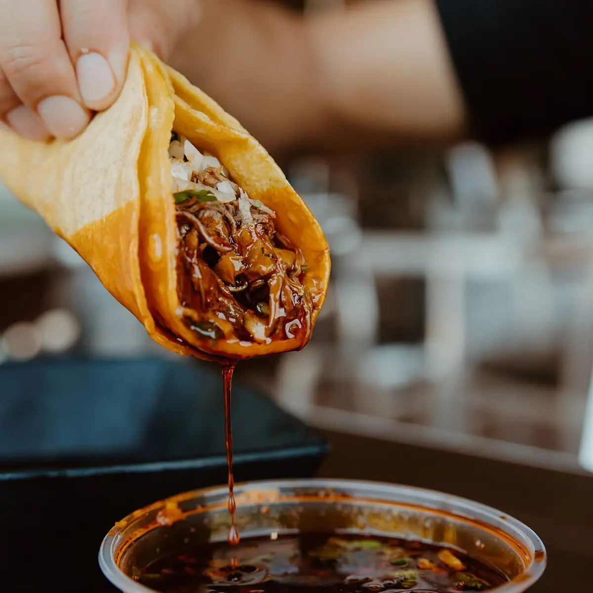 Birria Burrito