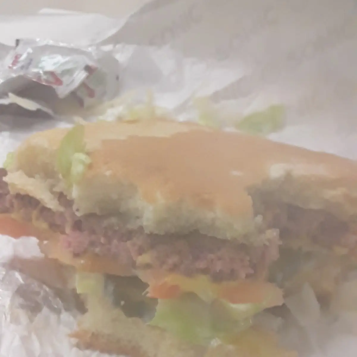 The Lunch Rush Raw Burger