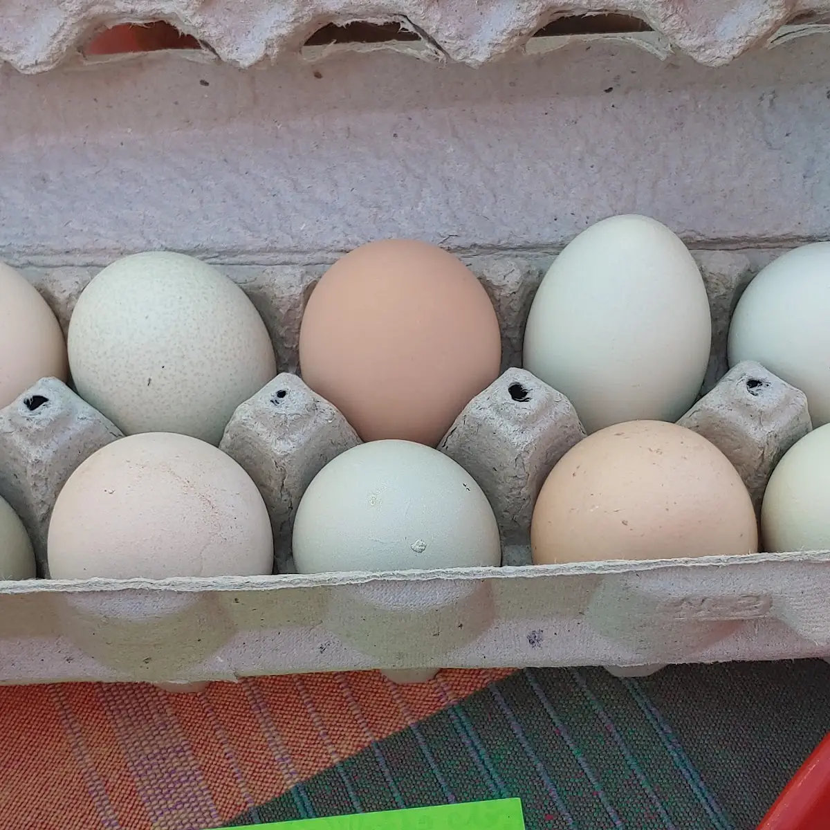Fresh Organic Eggs