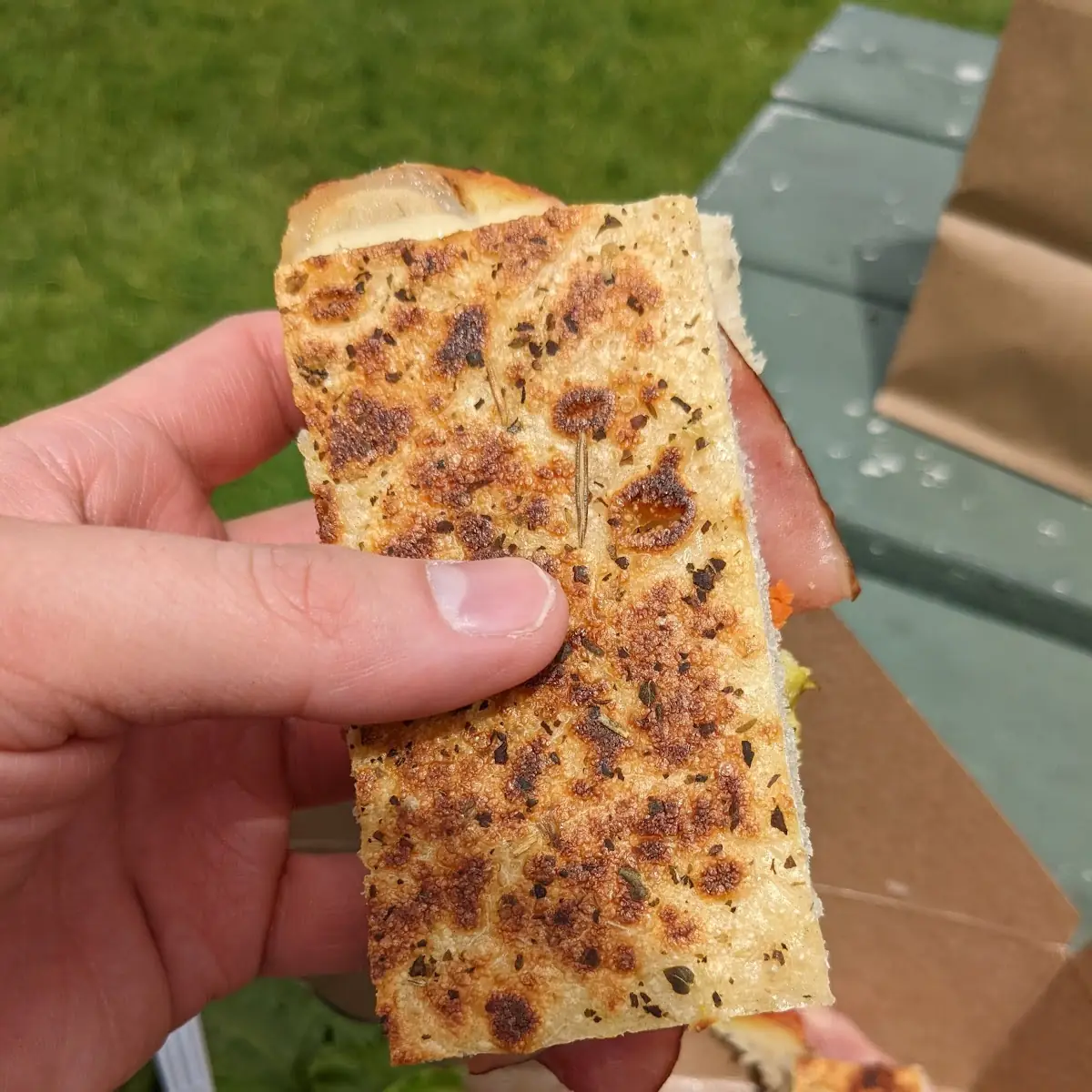 Cuban Panini