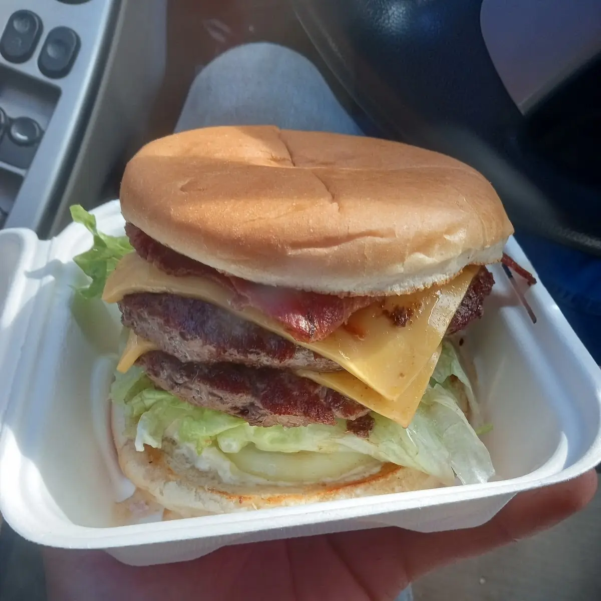 Double Cheeseburger Combo