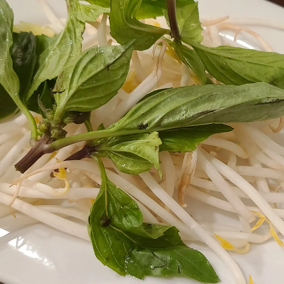 Thai Basil