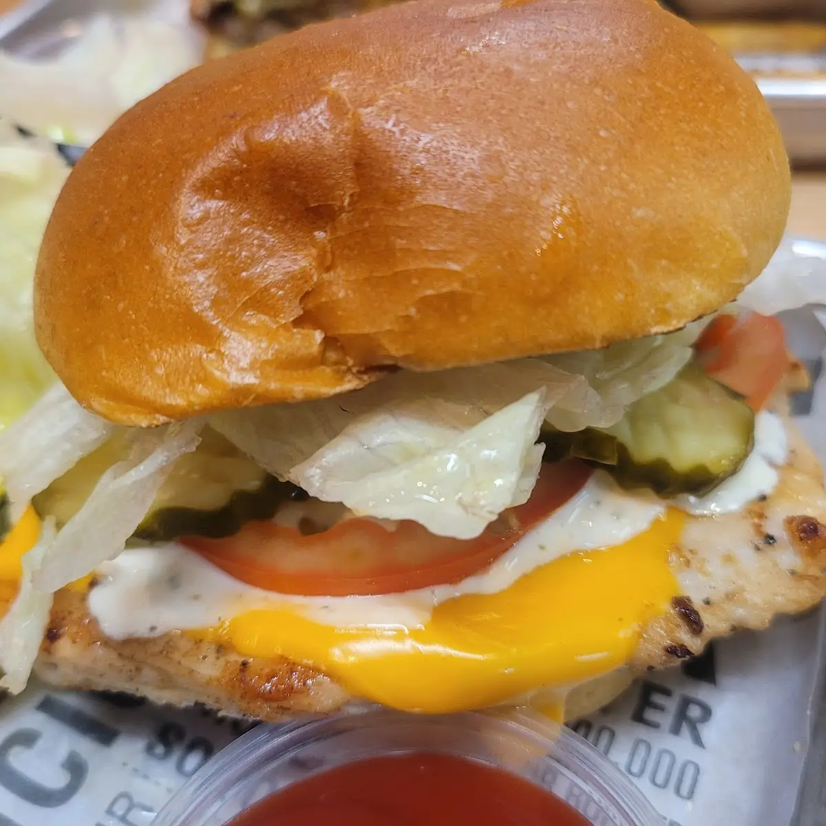 Grilled Chicken and Cheese