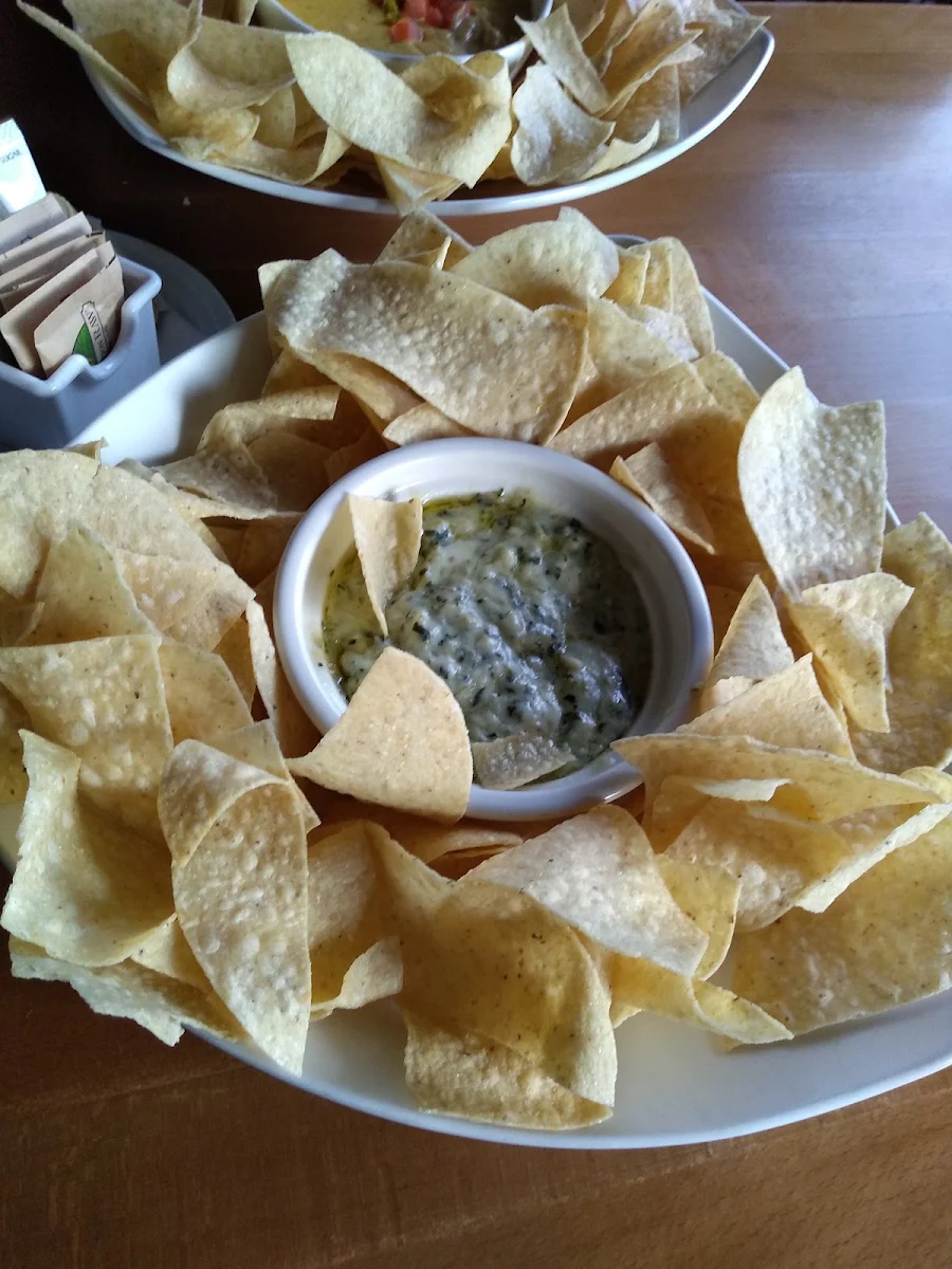 Spinach Dip Cheese Dip