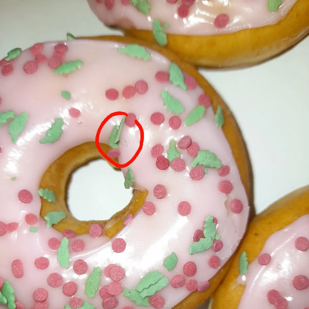 Doughnut