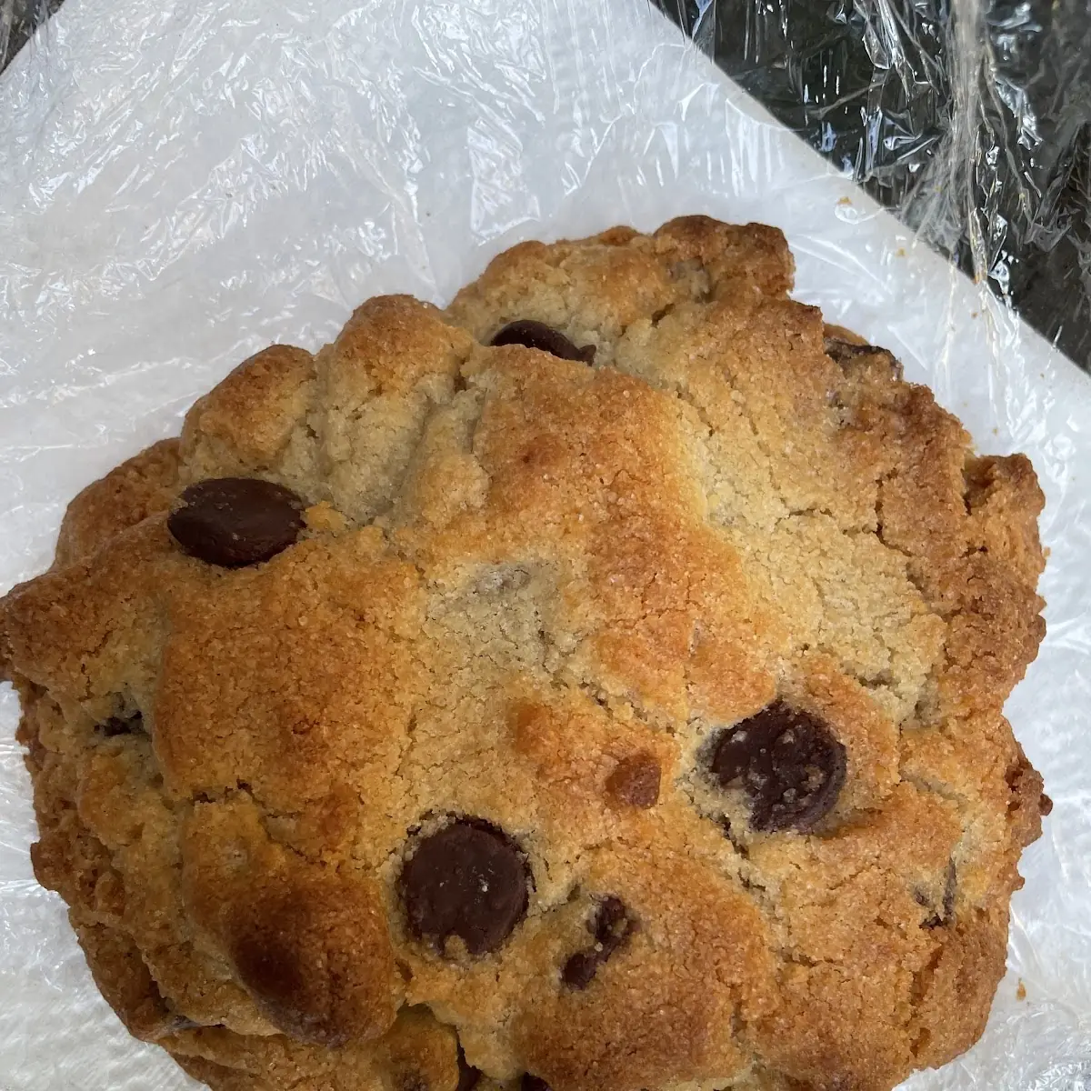 Chocolate Chip Cookie