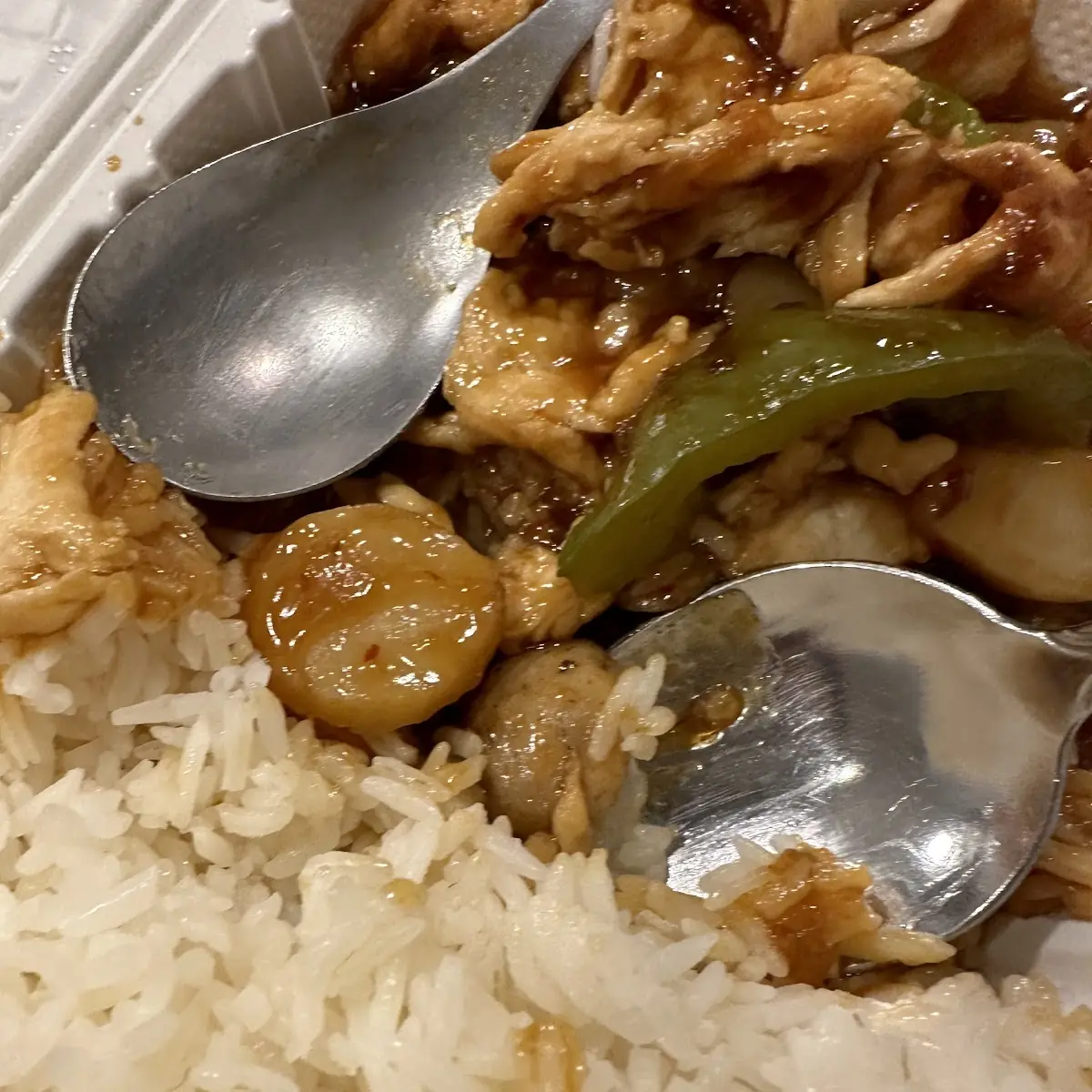 Lunch - Chicken w Garlic Sauce