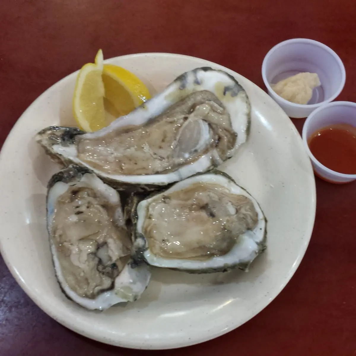 Huge Fresh Oysters