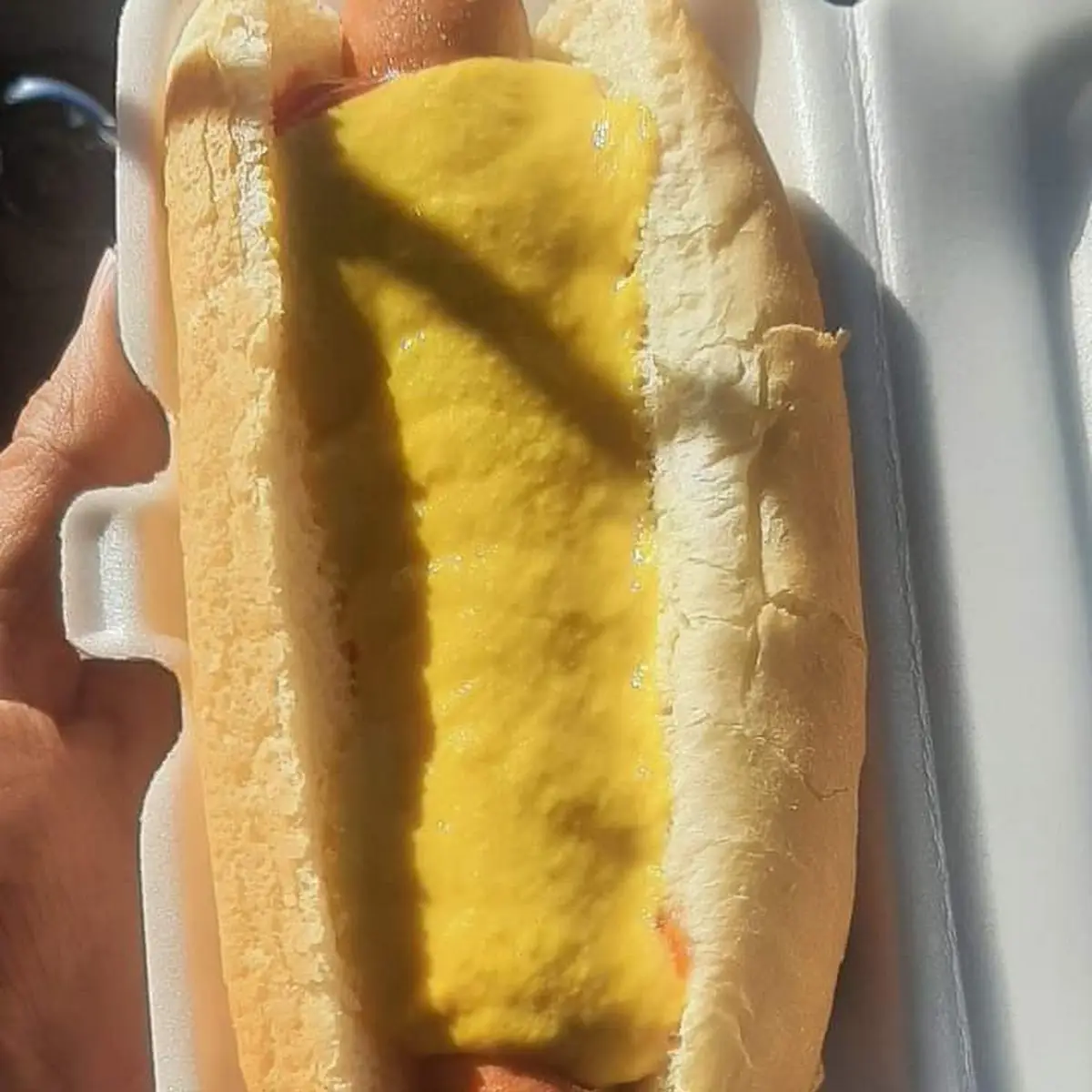Hot Dog