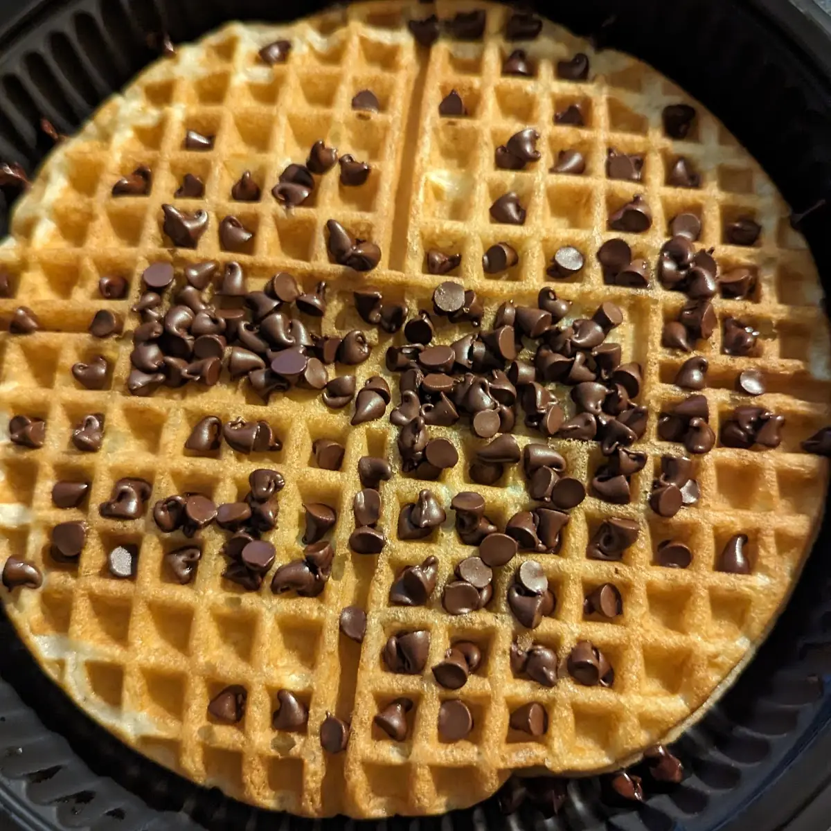 Chocolate Chip Waffle