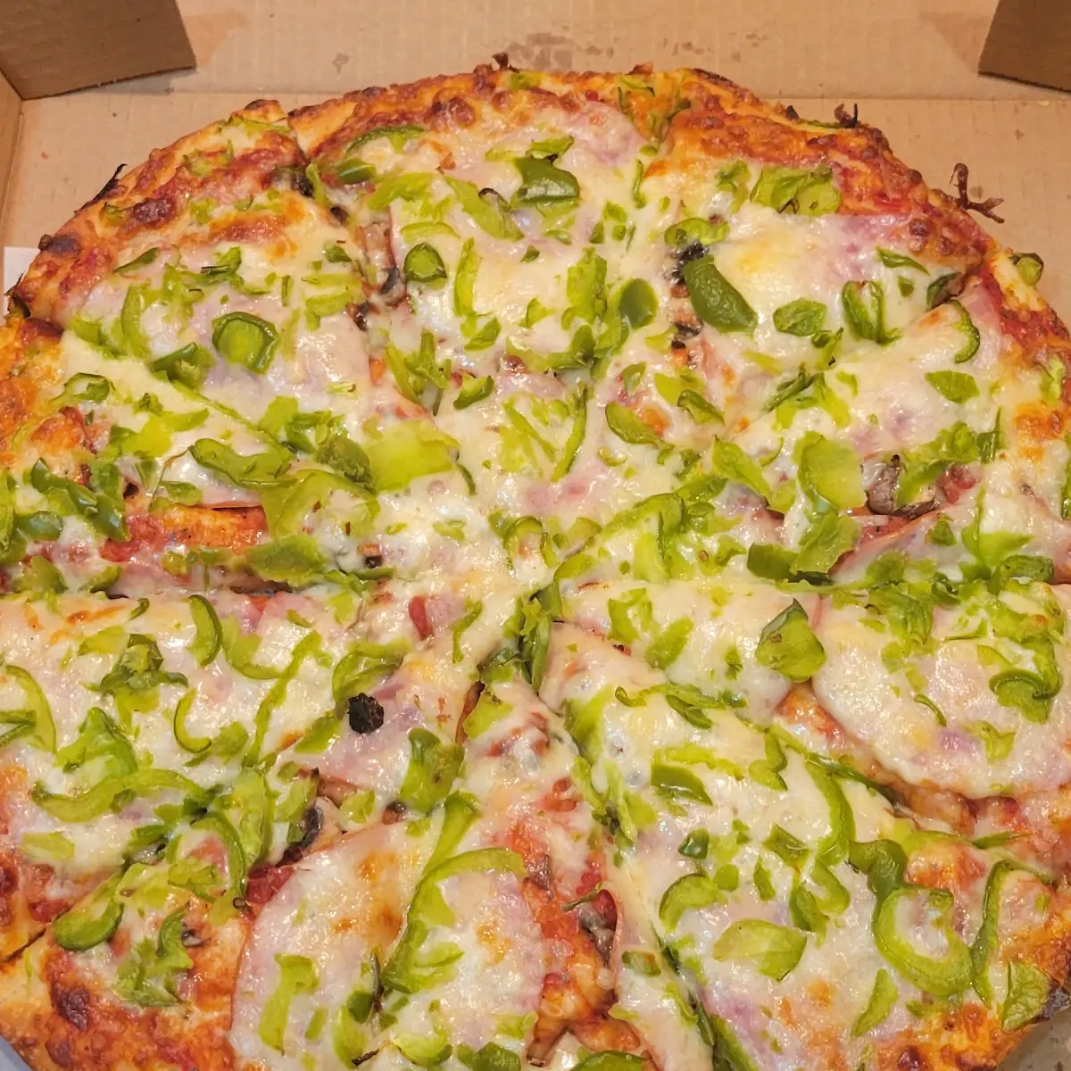 Highlights, Great Pizza and Indian Cuisine