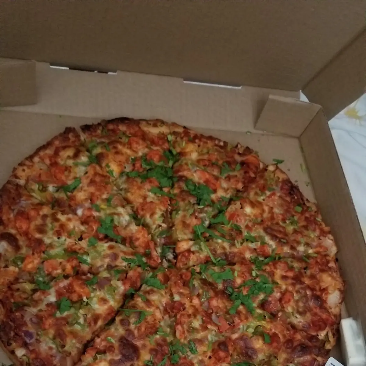 Tandoori Chicken, Great Pizza and Indian Cuisine