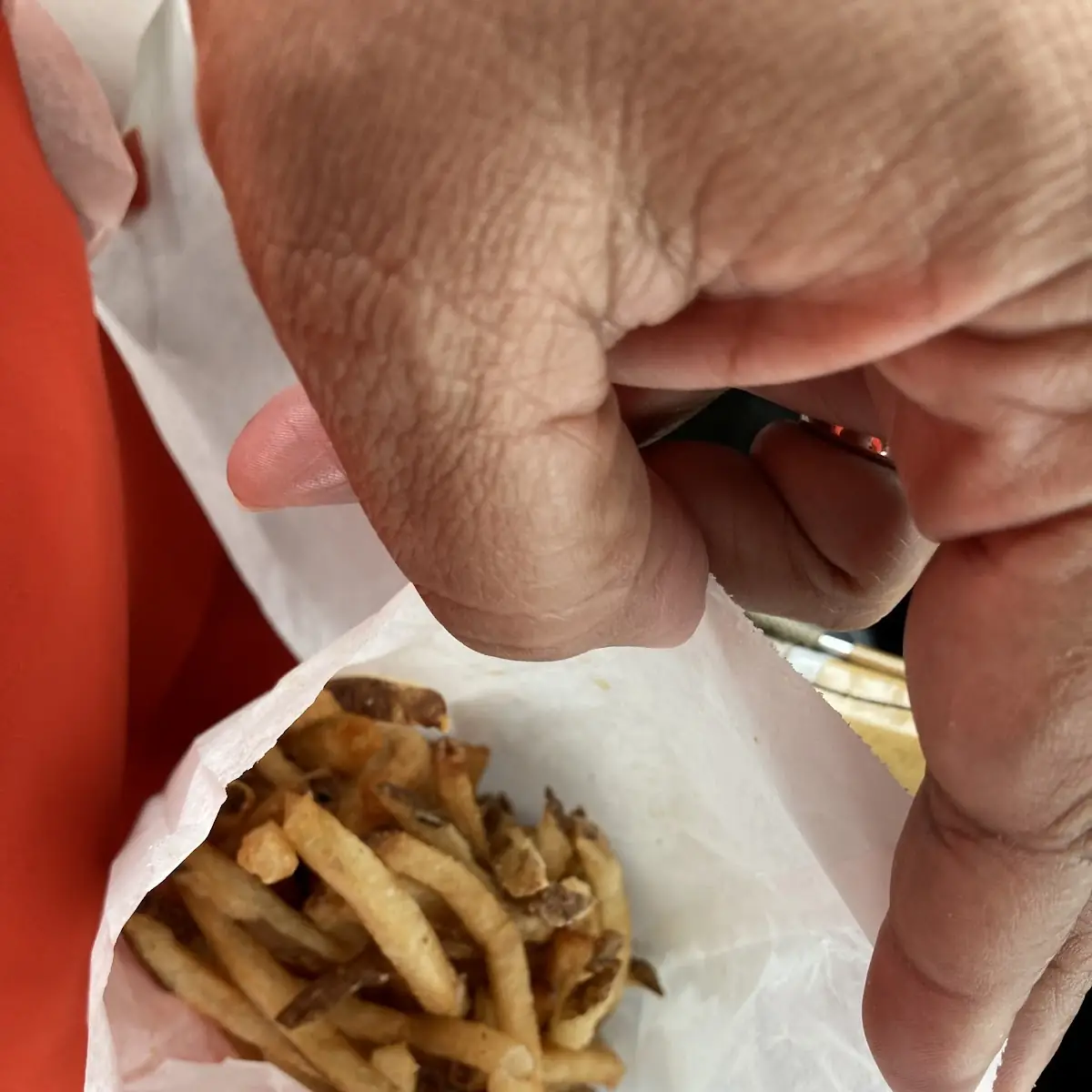 Famous Fresh Cut Fries