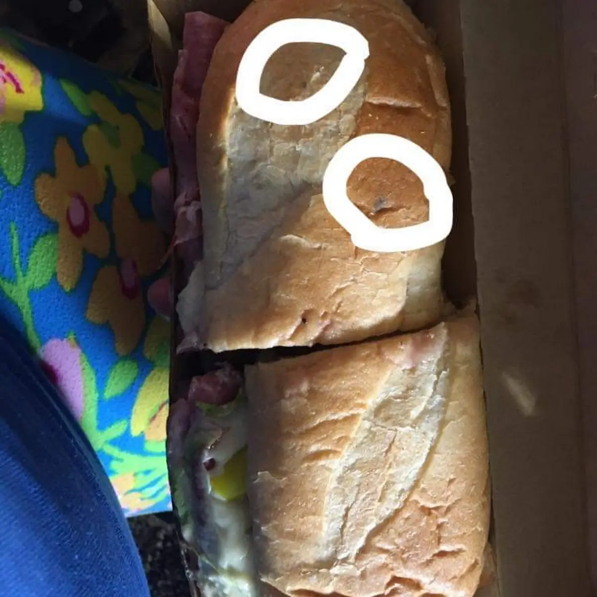 Moldy Sub Sandwich