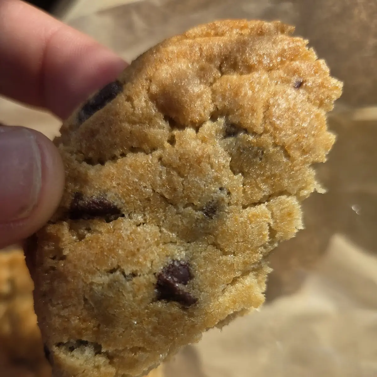 Blueberry Muffin