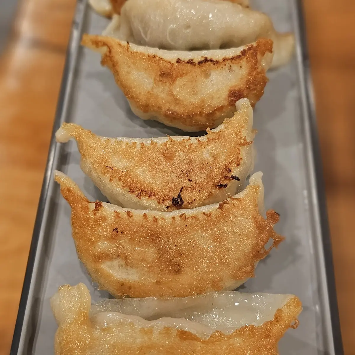 Pan Fried Pork Dumplings