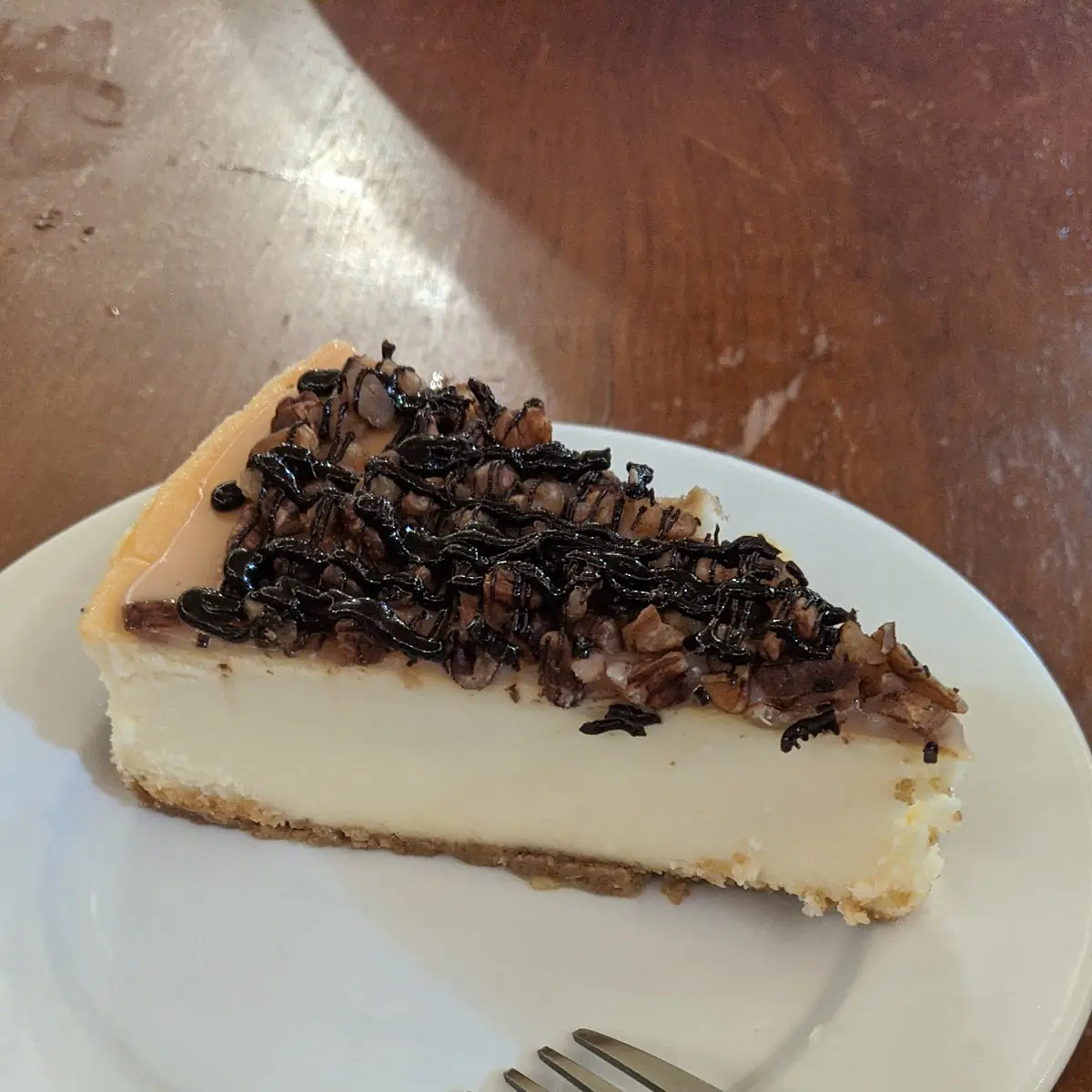 Turtle Cheesecake
