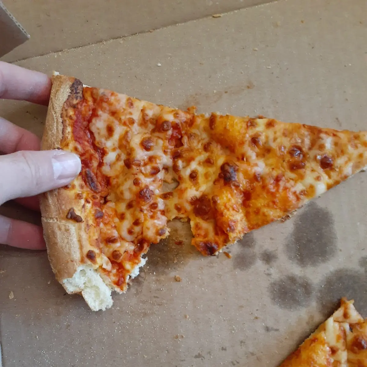 Large Cheese Pizza