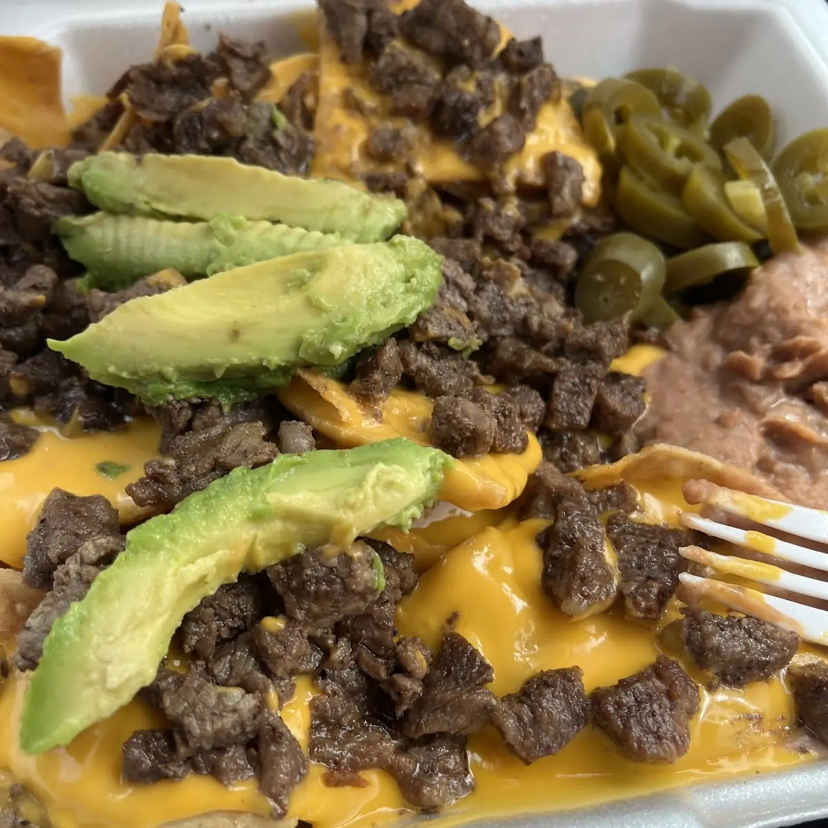 Carne Asada Fries