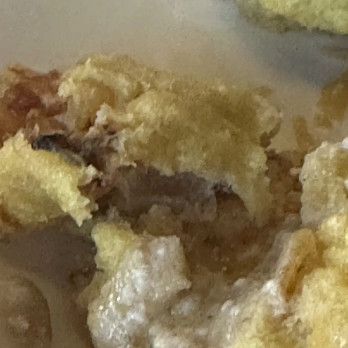 Undercooked Soft Shell Crab