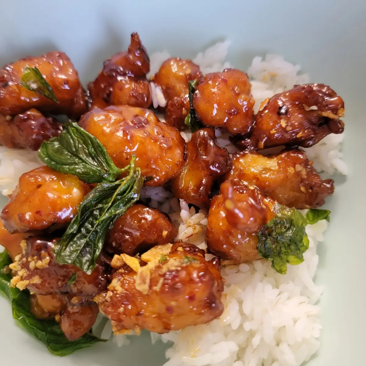 Honey Garlic Chicken