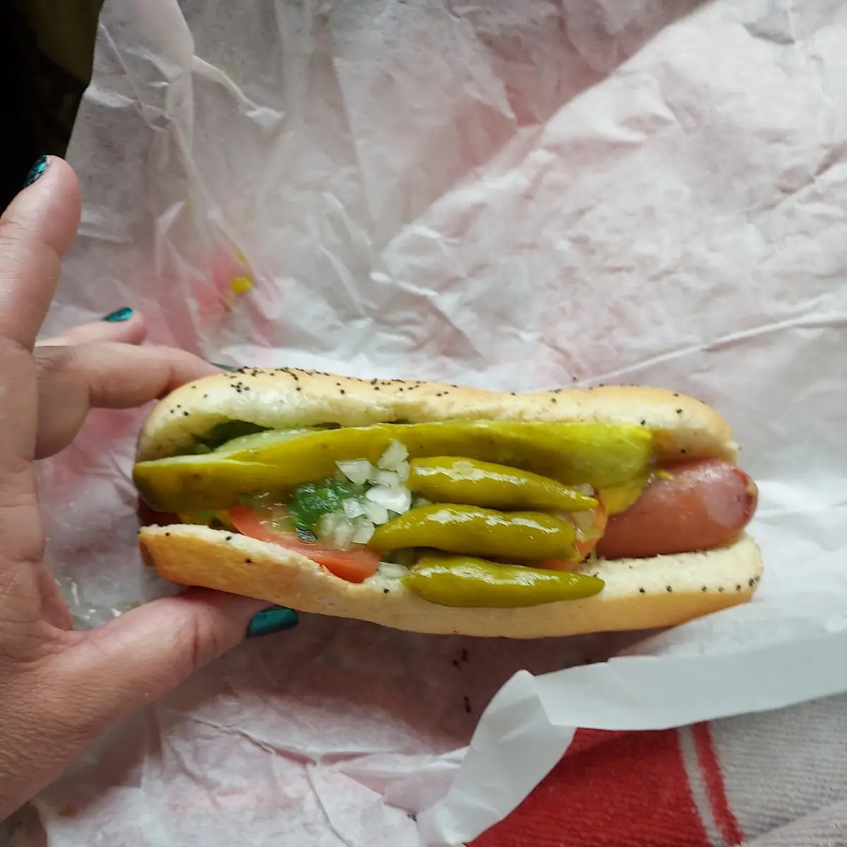 Chicago Style Hot Dog