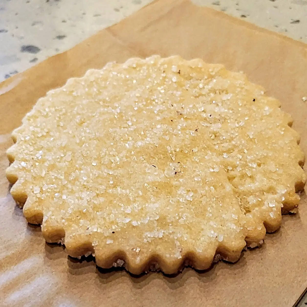 Sugar Cookie