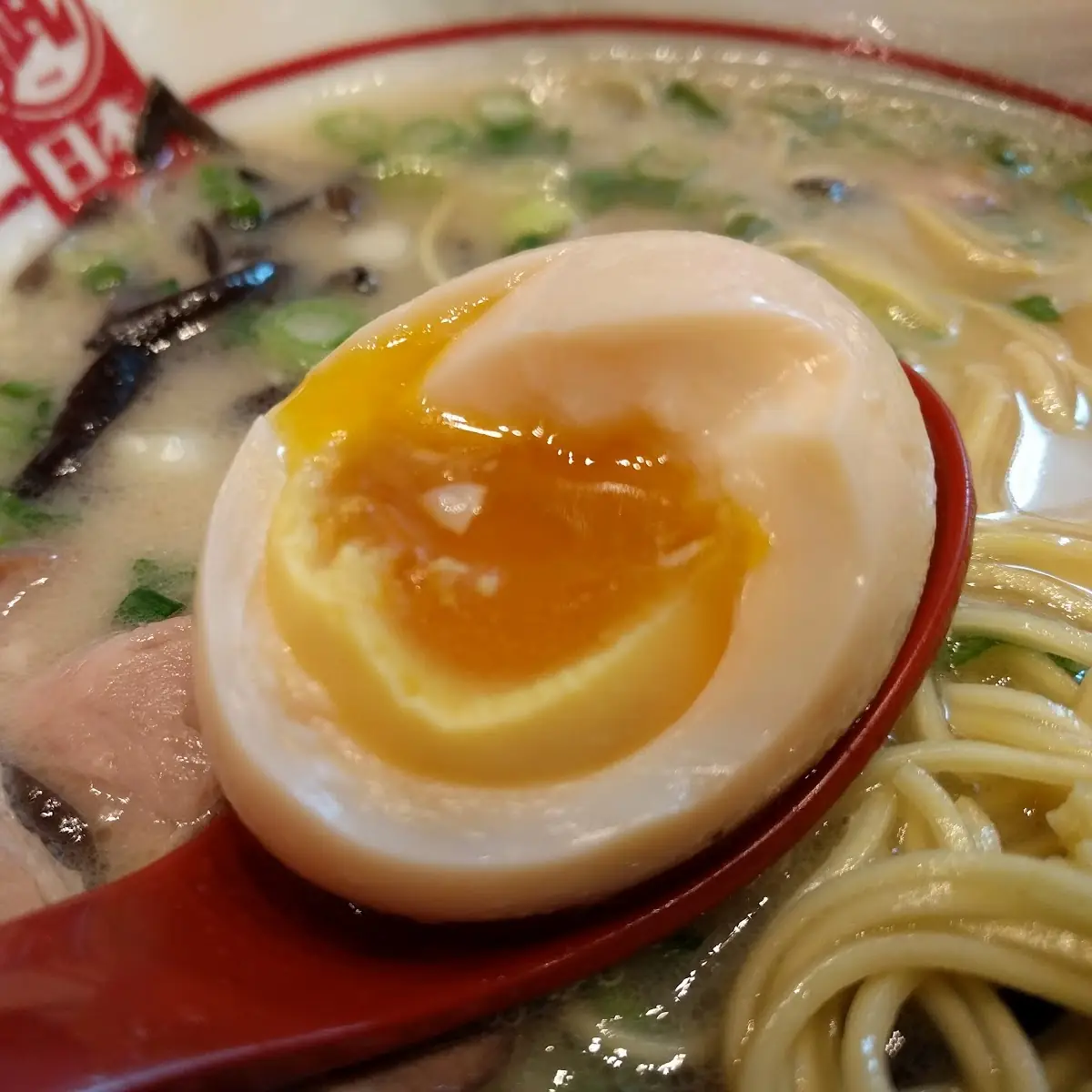 Soft Boiled Egg