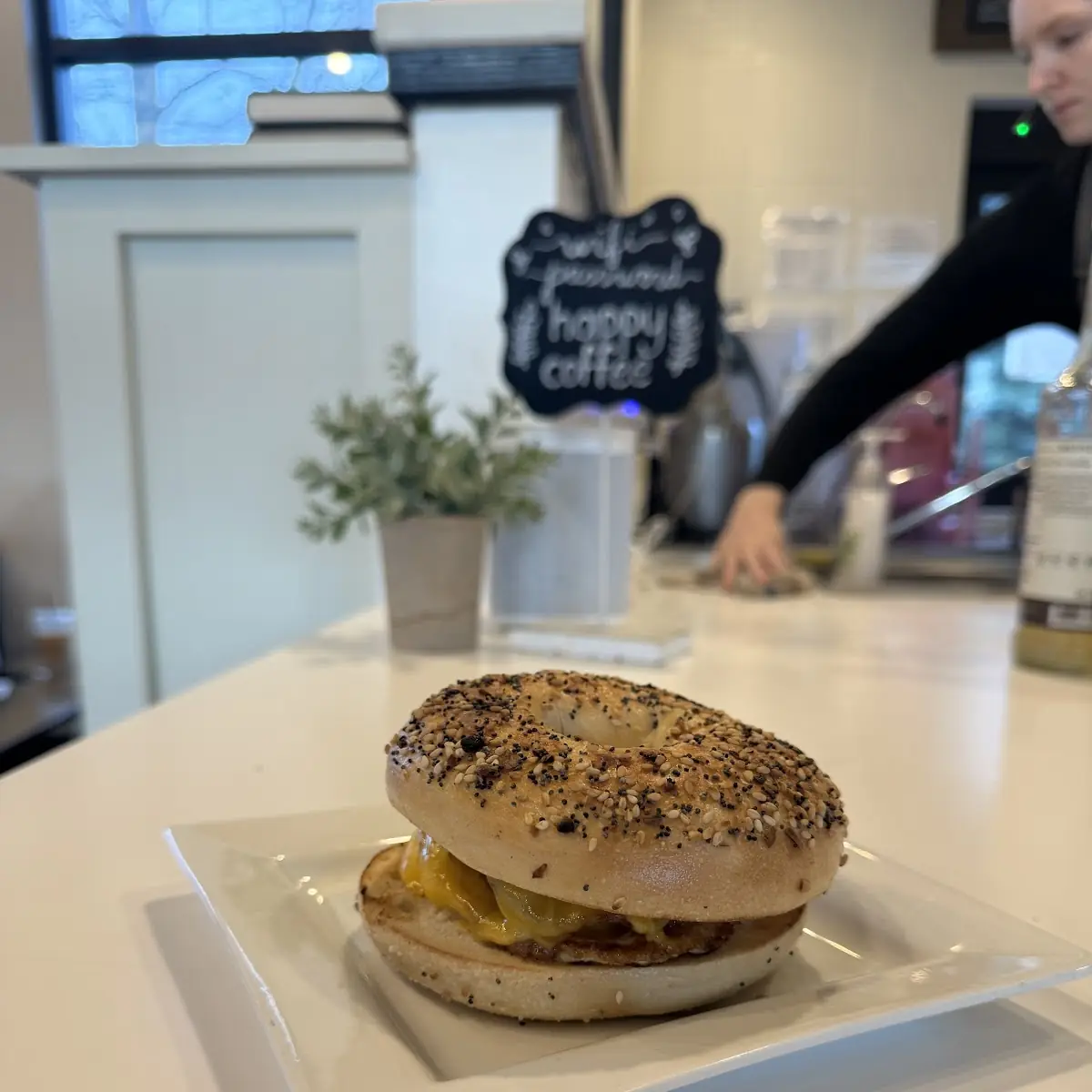 Egg and Cheese Sandwich