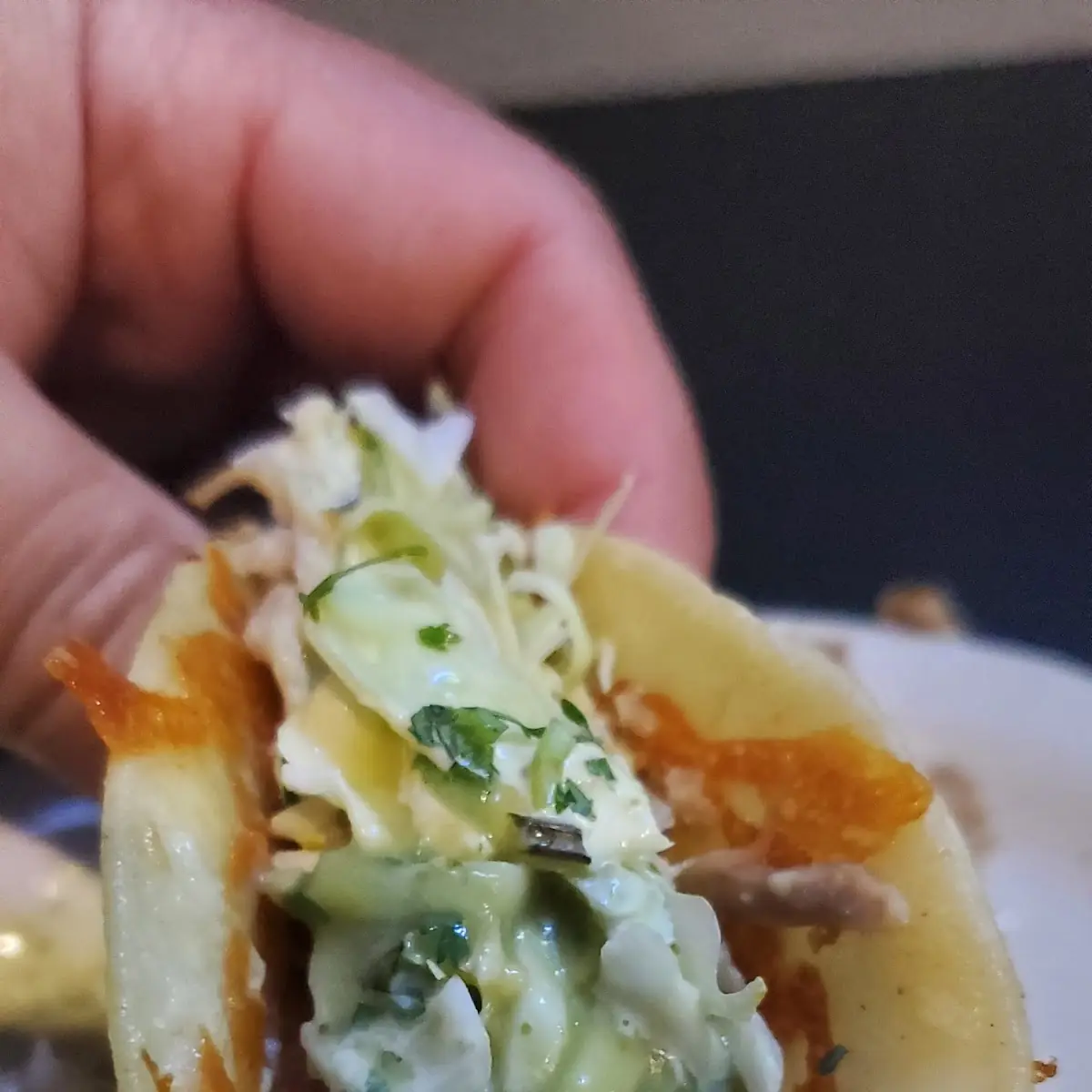 Carnitas Taco