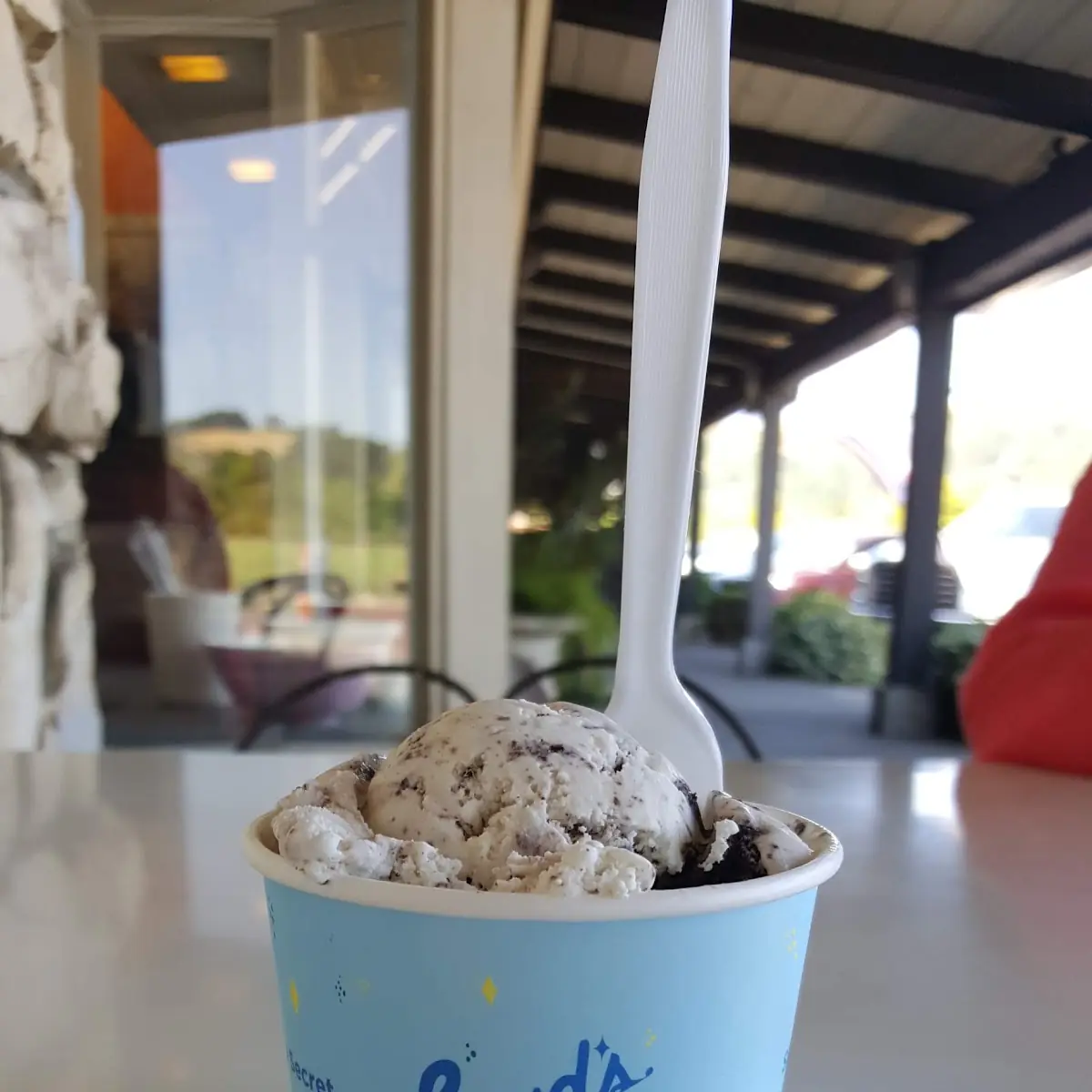 Cookies & Cream Ice Cream