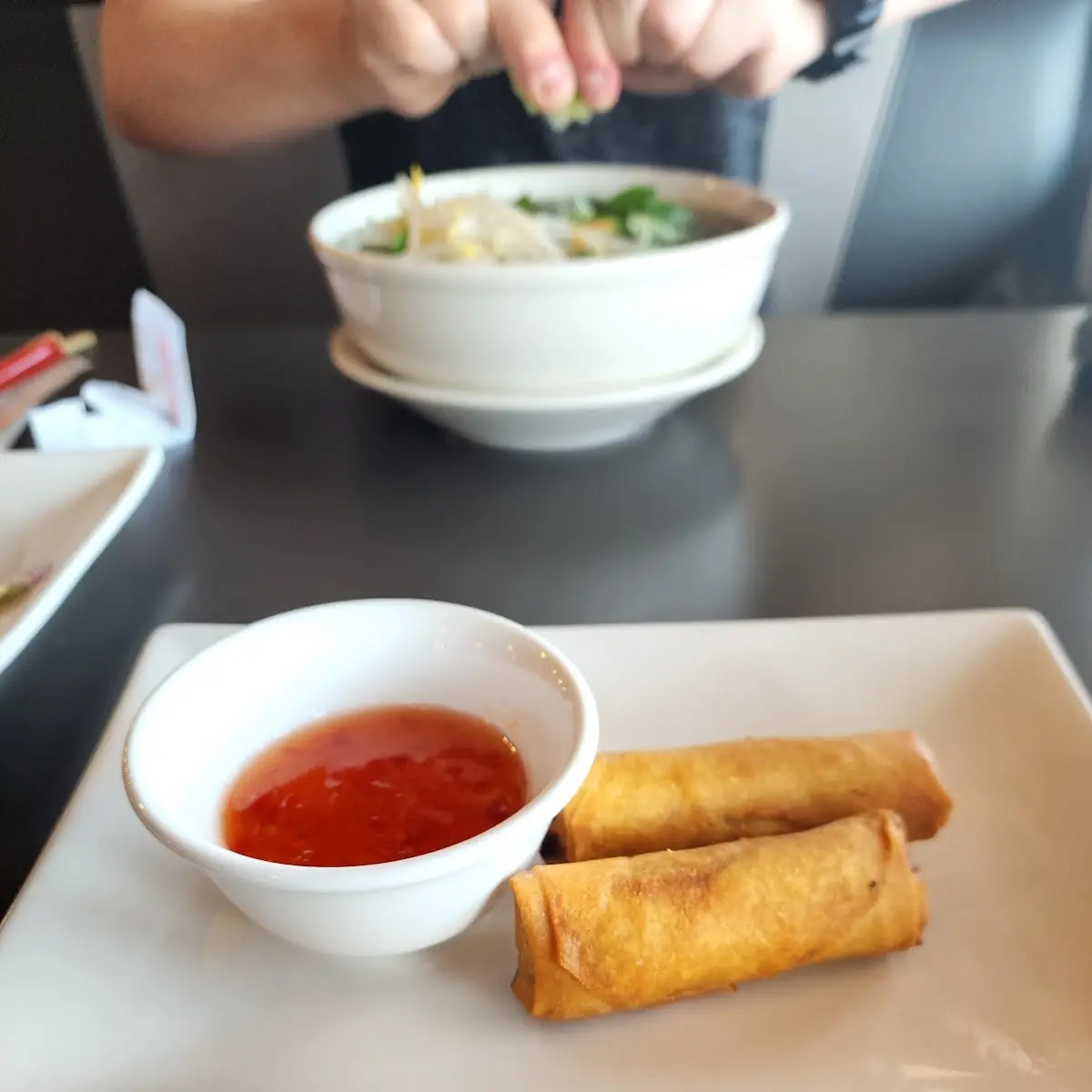 Tofu Spring Rolls