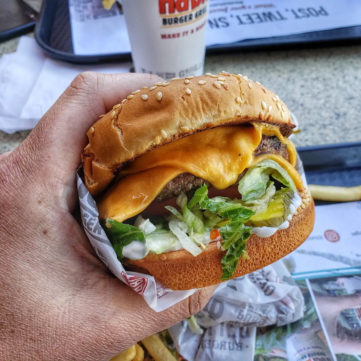 Double Cheeseburger Combo