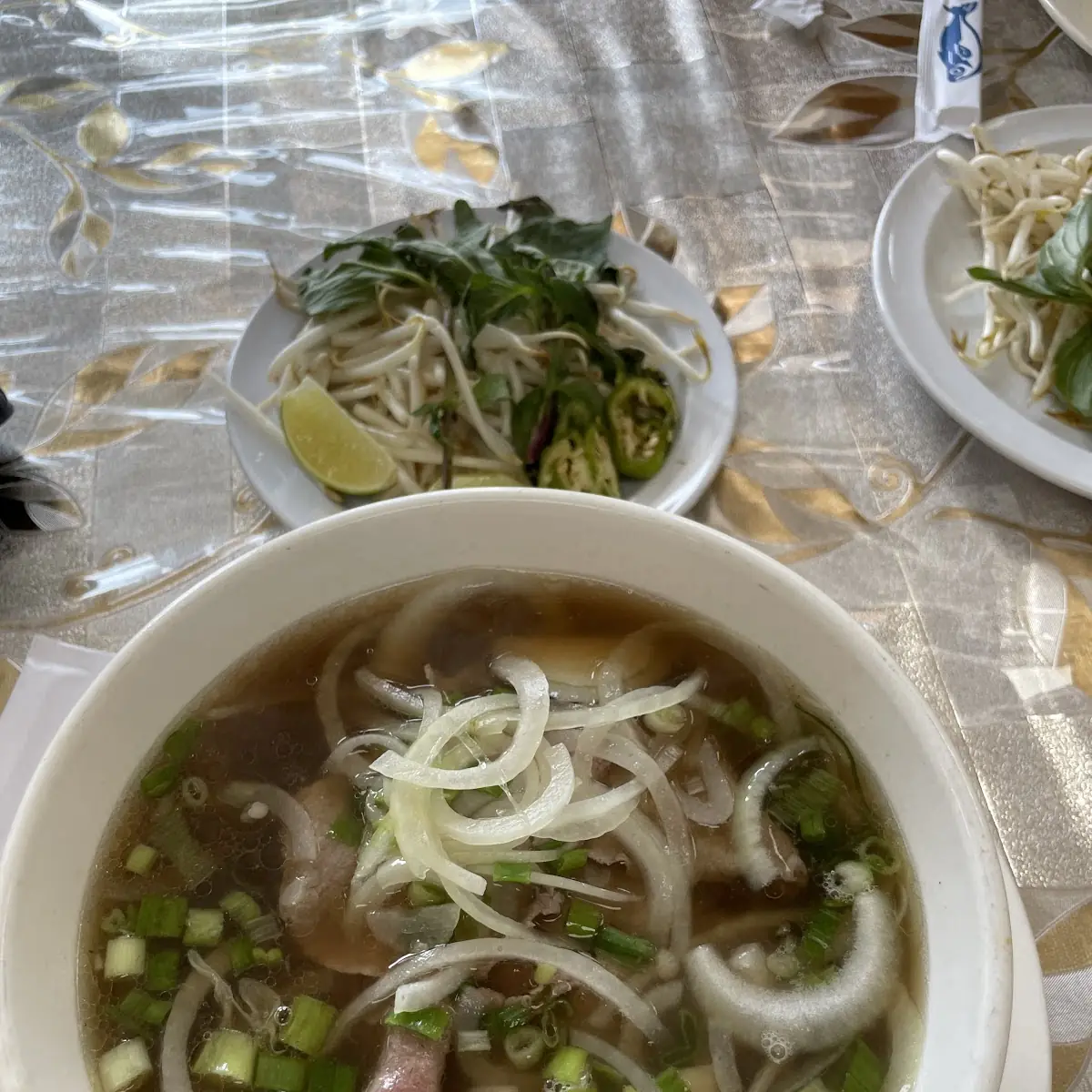 Pho Noodle Soup