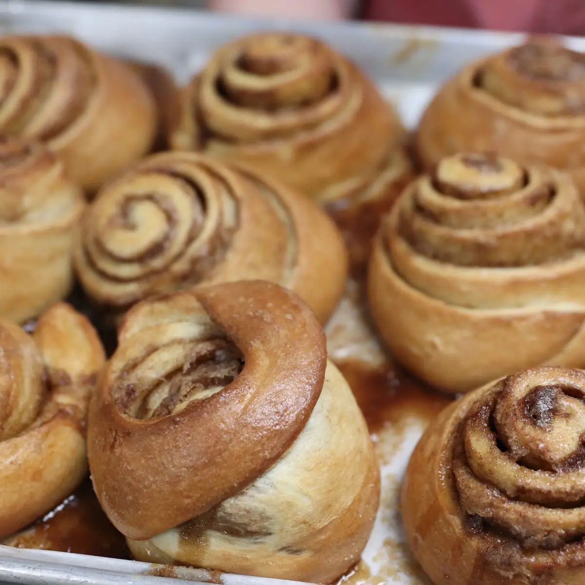 Cinnamon Roll