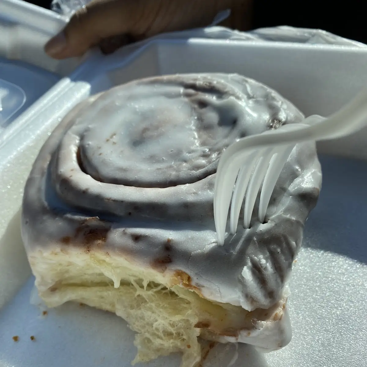Cinnamon Roll