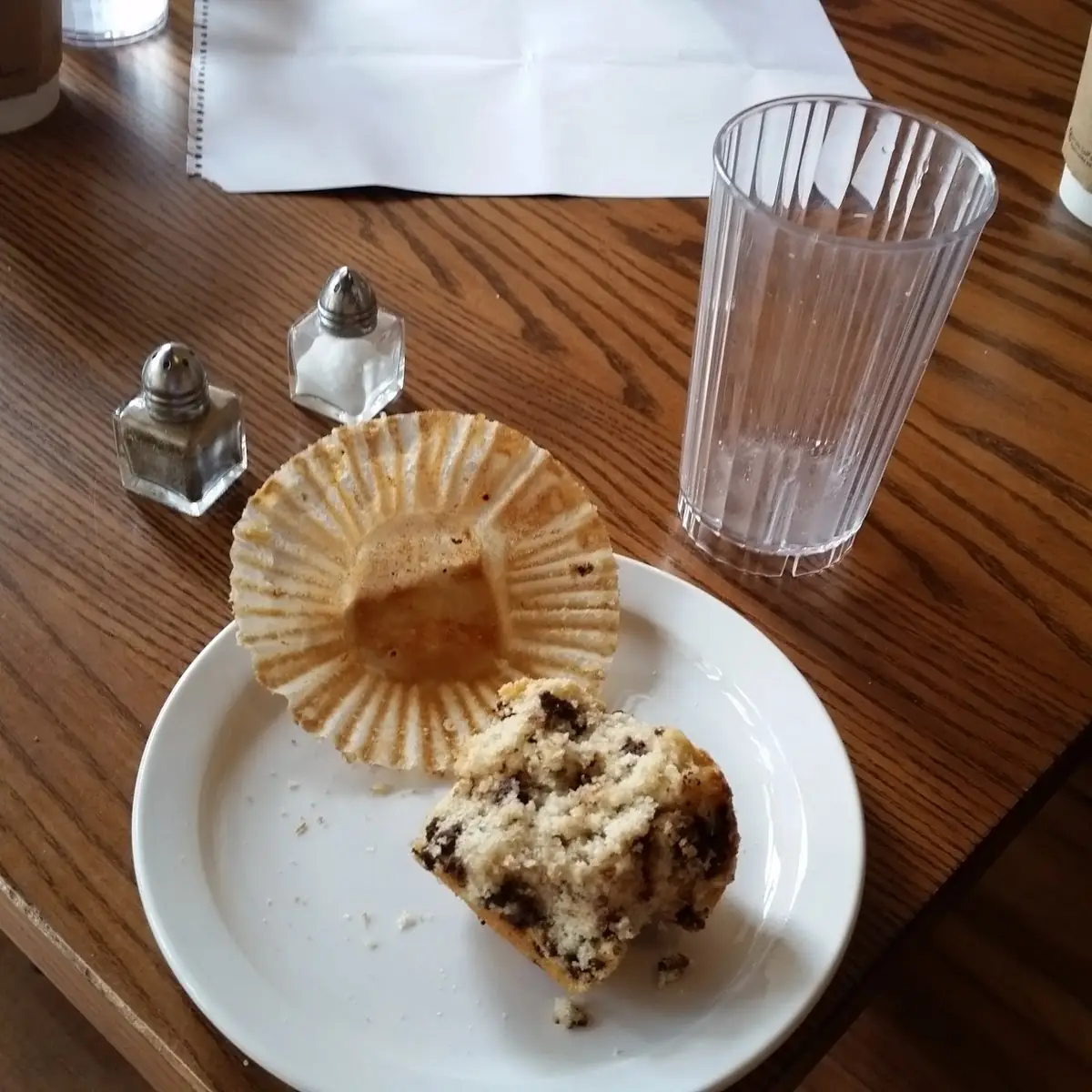 Chocolate Chip Muffins