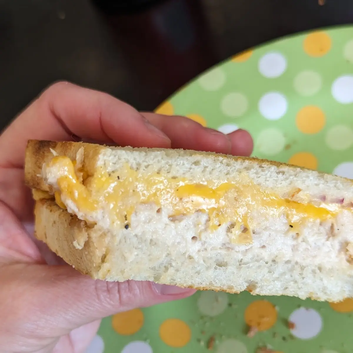 Tuna Melt