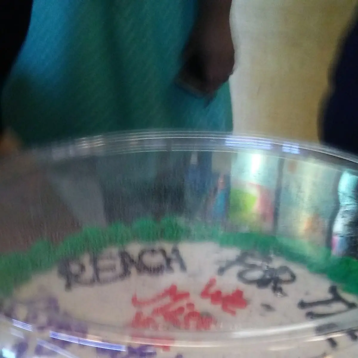 Going Away Cake