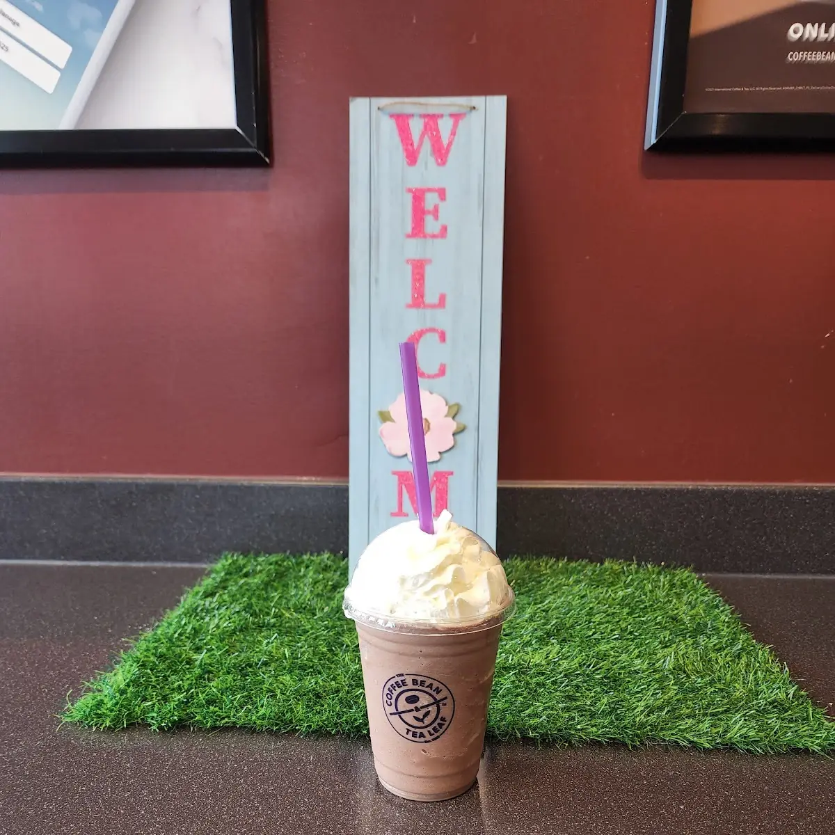 Ice Blended Mocha Frappuccino