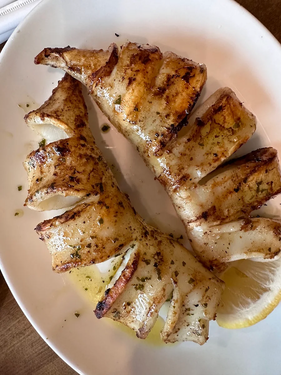 Grilled Calamari