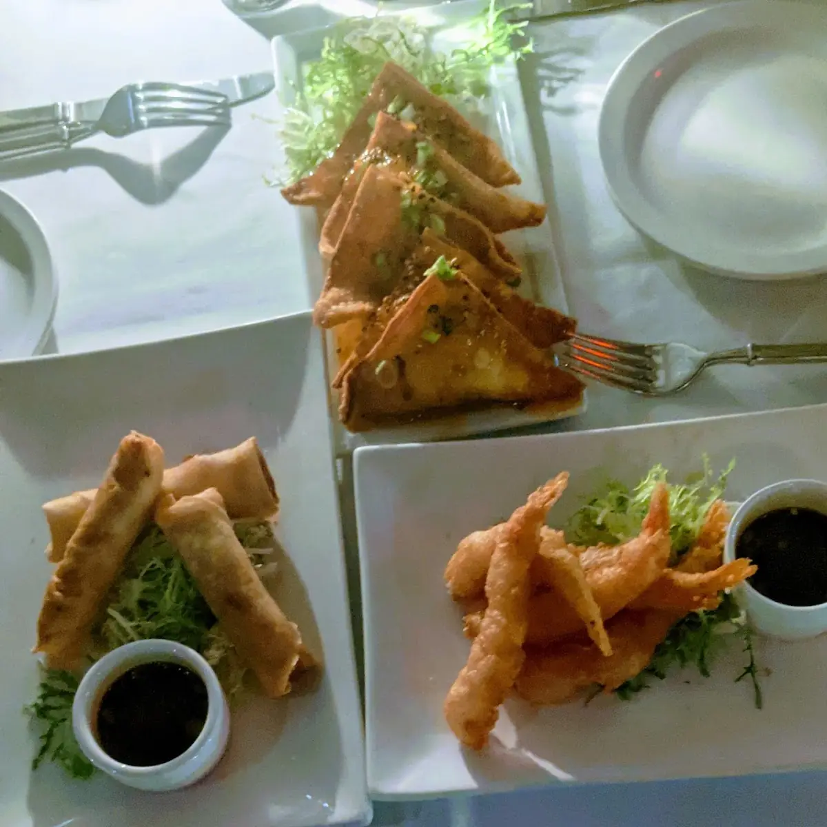 Spring Roll