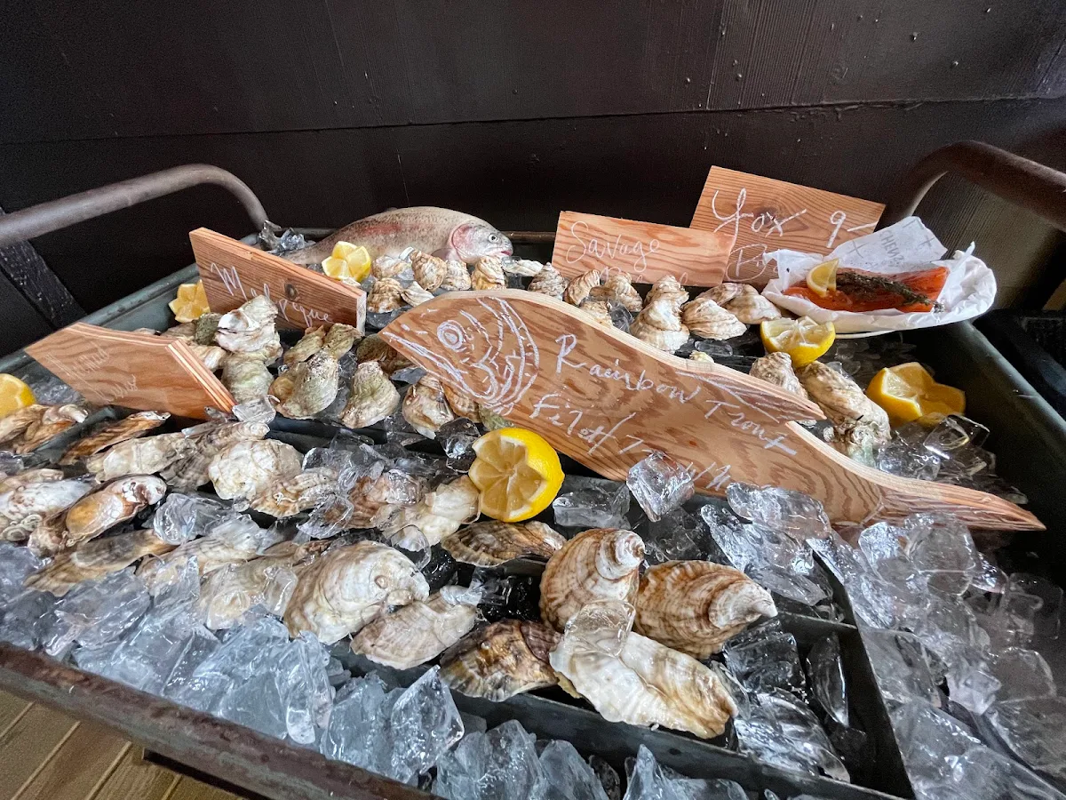Oysters on Ice