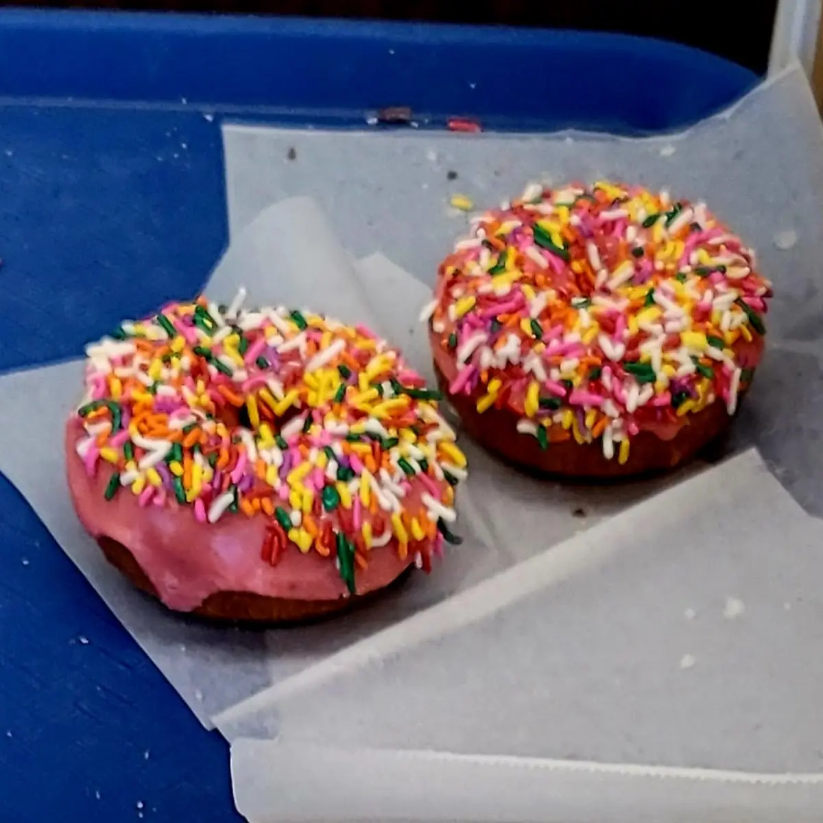 Poop Donut