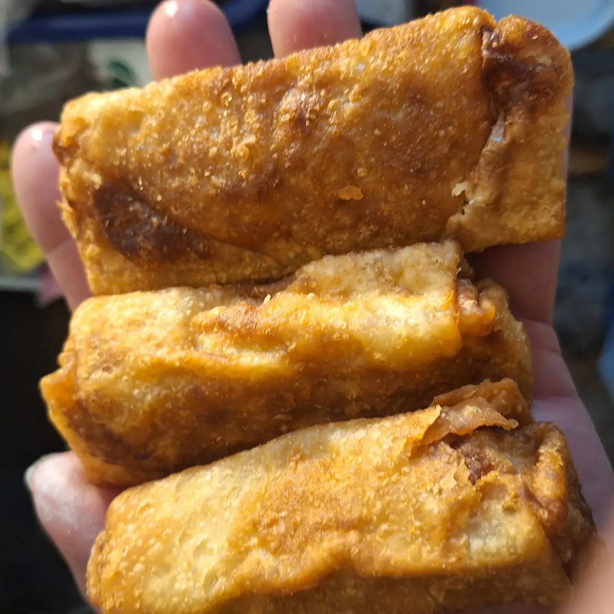 Burnt Egg Rolls