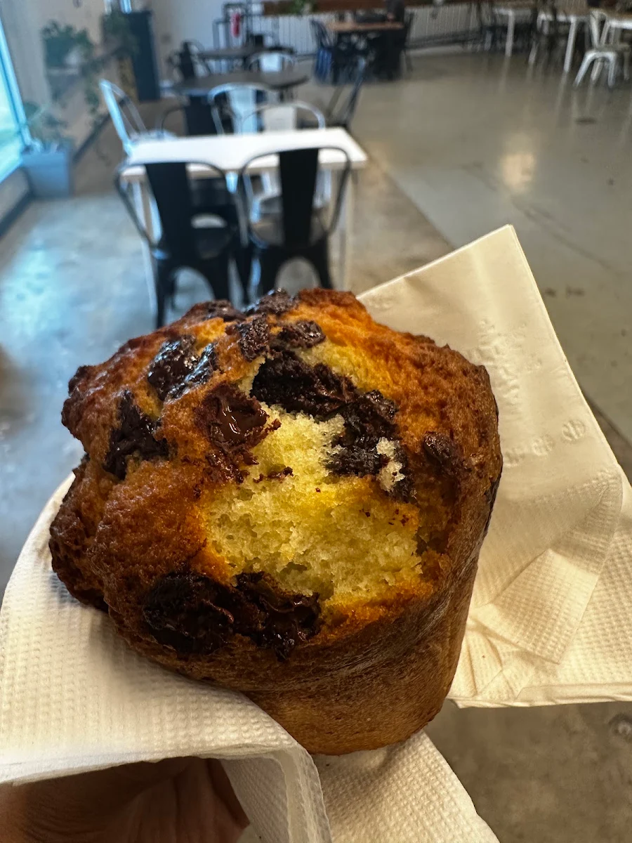 Blueberry Muffin