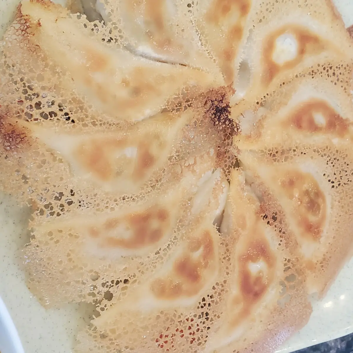 Beef and Chives Pan Fried Dumplings